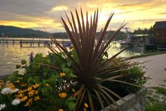 2026_Attersee_106